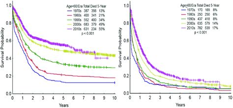 survival rate for aml|Acute myeloid leukemia: current progress and future directions.